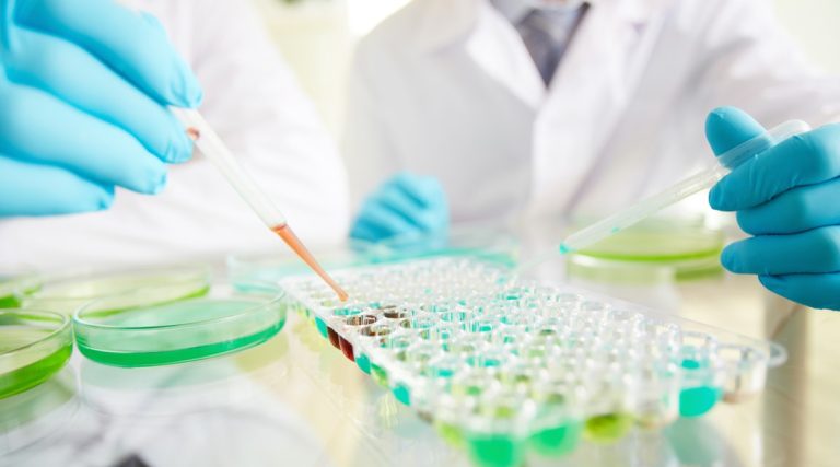 study-pharmacy-in-the-netherlands