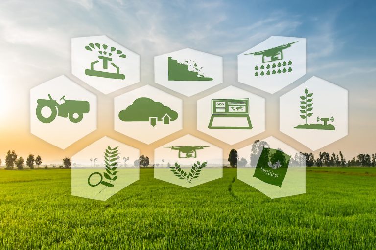 study-agriculture-in-the-netherlands